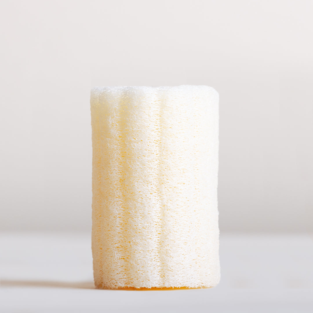Natural Luffa Sponge