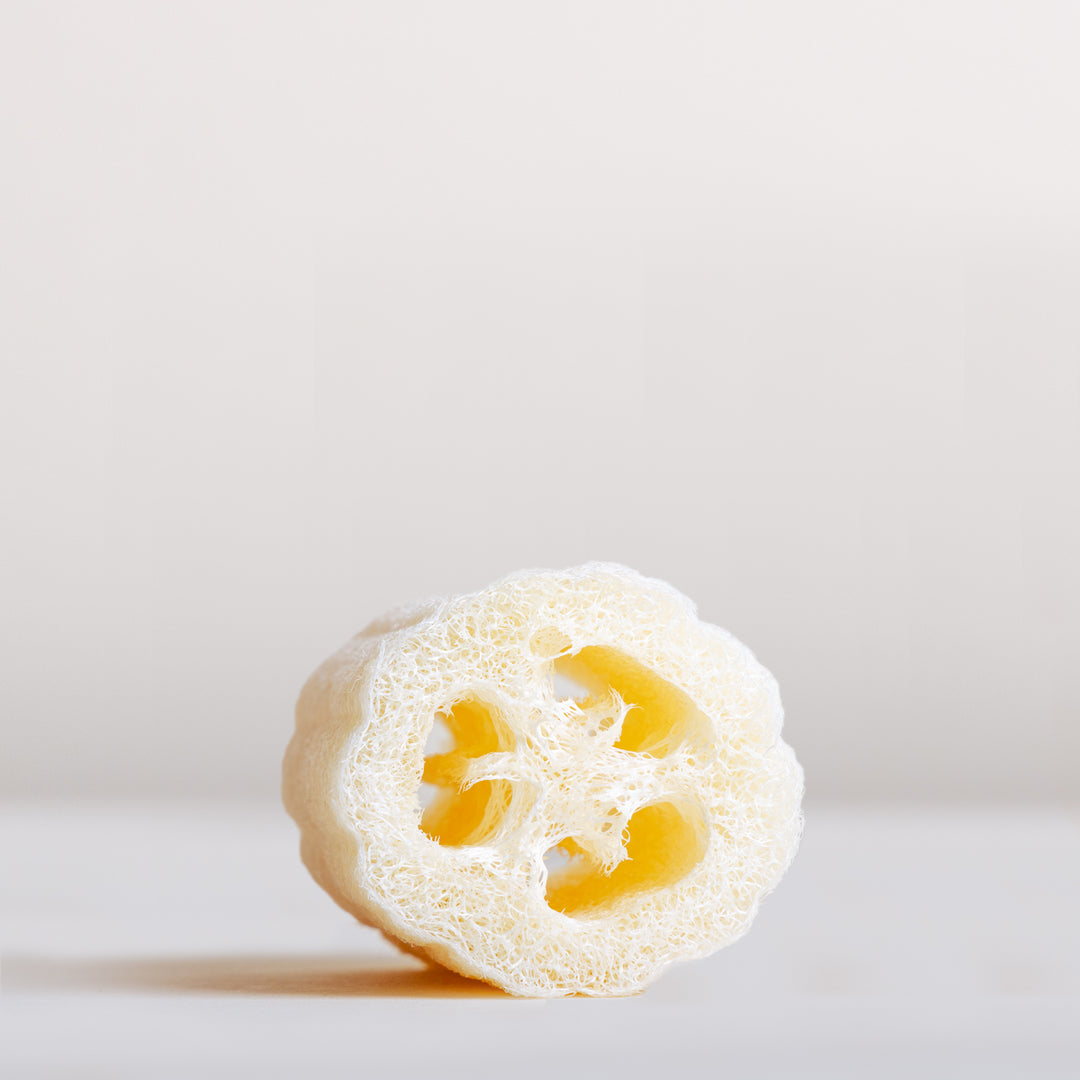 Natural Luffa Sponge