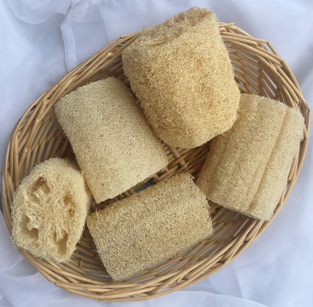 Natural Luffa Sponge