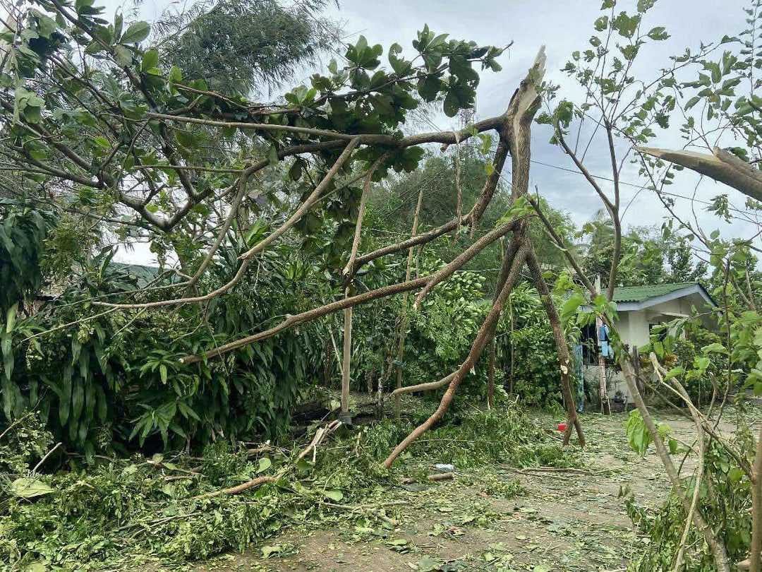 Typhoon Tino Relief Fund