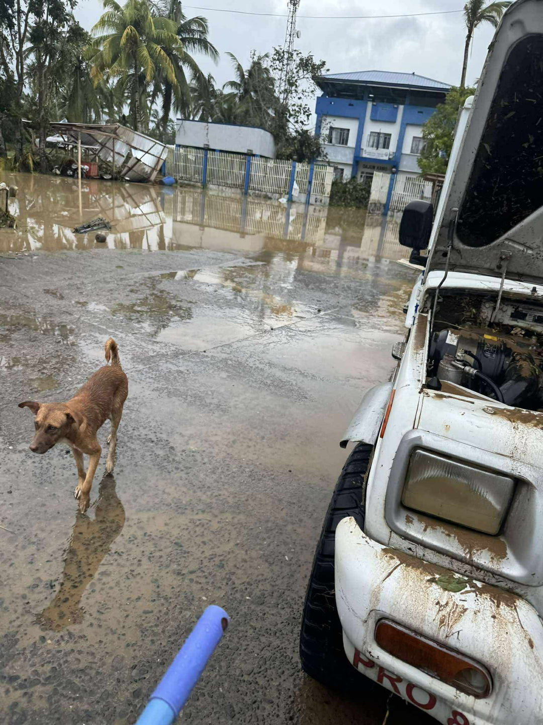 Typhoon Tino Relief Fund