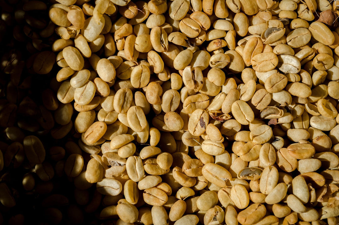 Kasama Fest: Coffee Cupping Workshop